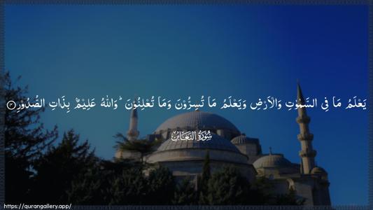 At-Taghaabun Ayah 4 - Arabic (Wide) wallpaper