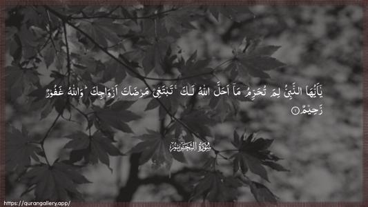 At-Tahrim Ayah 1 - Arabic (Wide) wallpaper