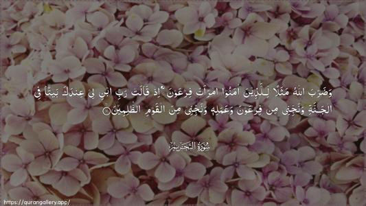 At-Tahrim Ayah 11 - Arabic (Wide) wallpaper