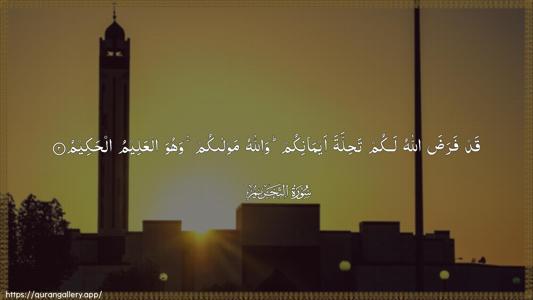At-Tahrim Ayah 2 - Arabic (Wide) wallpaper