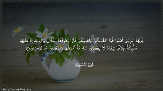 At-Tahrim Ayah 6 - Arabic (Wide) wallpaper