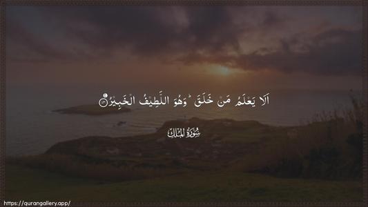 Al-Mulk Ayah 14 - Arabic (Wide) wallpaper