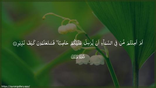 Al-Mulk Ayah 17 - Arabic (Wide) wallpaper
