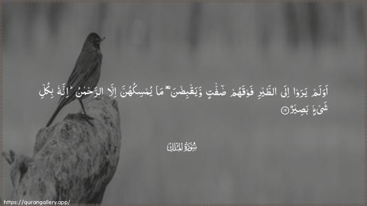 Al-Mulk Ayah 19 - Arabic (Wide) wallpaper