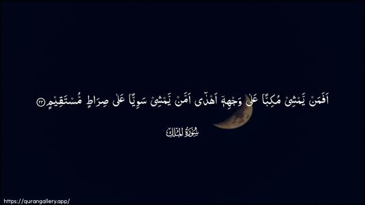 Al-Mulk Ayah 22 - Arabic (Wide) wallpaper