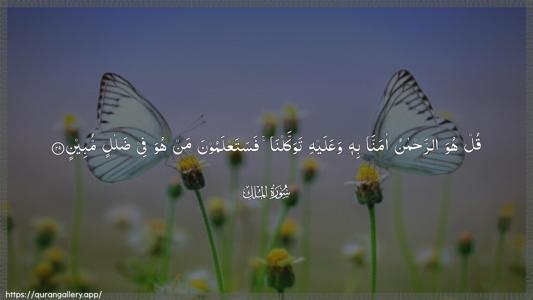 Al-Mulk Ayah 29 - Arabic (Wide) wallpaper