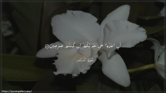 Al-Qalam Ayah 22 - Arabic (Wide) wallpaper
