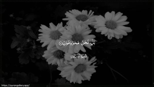 Al-Qalam Ayah 27 - Arabic (Wide) wallpaper