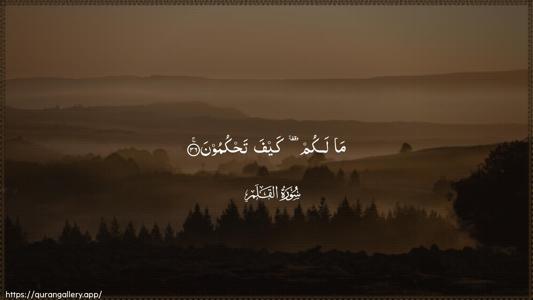 Al-Qalam Ayah 36 - Arabic (Wide) wallpaper