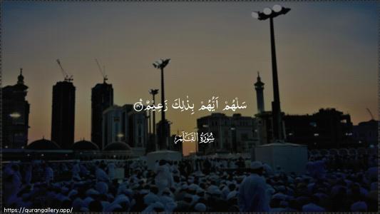 Al-Qalam Ayah 40 - Arabic (Wide) wallpaper