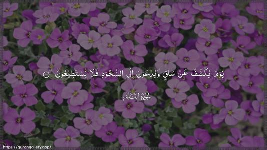 Al-Qalam Ayah 42 - Arabic (Wide) wallpaper