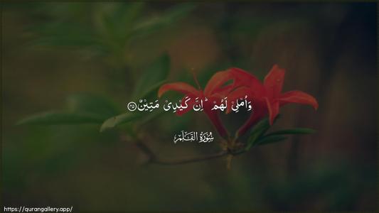Al-Qalam Ayah 45 - Arabic (Wide) wallpaper