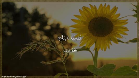Al-Haaqqa Ayah 23 - Arabic (Wide) wallpaper