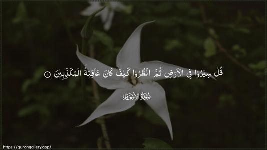 Al-An"aam Ayah 11 - Arabic (Wide) wallpaper