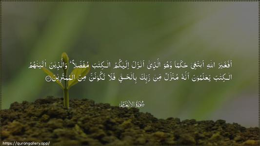 Al-An"aam Ayah 114 - Arabic (Wide) wallpaper