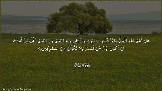 Al-An"aam Ayah 14 - Arabic (Wide) wallpaper