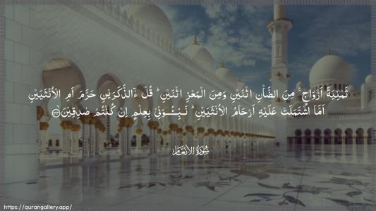 Al-An"aam Ayah 143 - Arabic (Wide) wallpaper