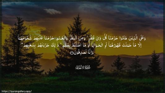 Al-An"aam Ayah 146 - Arabic (Wide) wallpaper