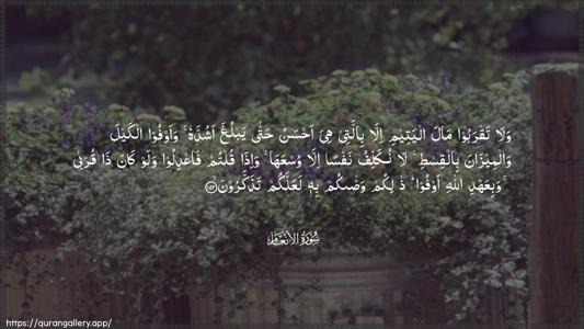 Al-An"aam Ayah 152 - Arabic (Wide) wallpaper