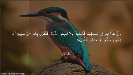 Al-An"aam Ayah 153 - Arabic (Wide) wallpaper
