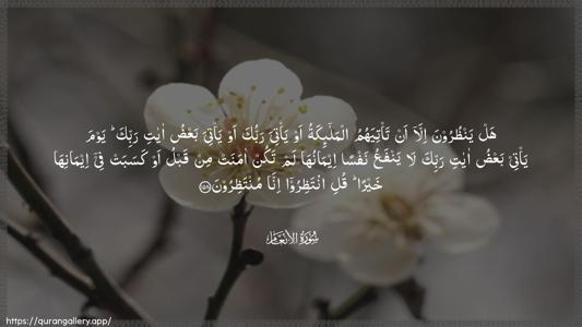 Al-An"aam Ayah 158 - Arabic (Wide) wallpaper