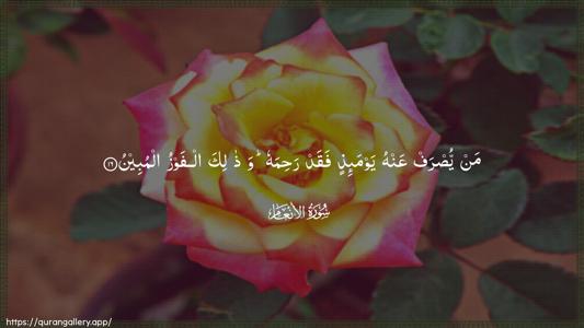 Al-An"aam Ayah 16 - Arabic (Wide) wallpaper