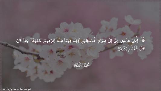 Al-An"aam Ayah 161 - Arabic (Wide) wallpaper
