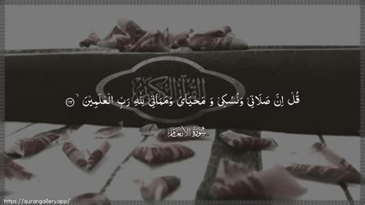 Al-An"aam Ayah 162 - Arabic (Wide) wallpaper