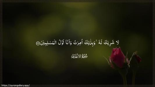 Al-An"aam Ayah 163 - Arabic (Wide) wallpaper
