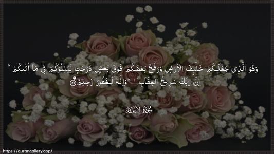 Al-An"aam Ayah 165 - Arabic (Wide) wallpaper