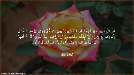 Al-An"aam Ayah 19 - Arabic (Wide) wallpaper