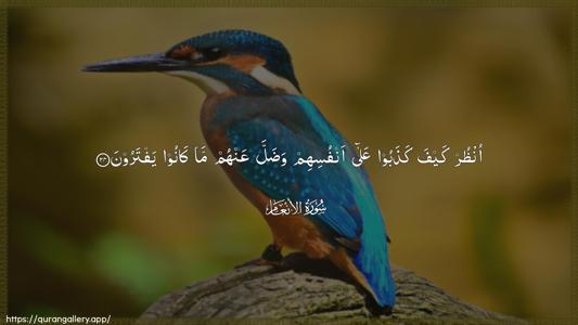 Al-An"aam Ayah 24 - Arabic (Wide) wallpaper