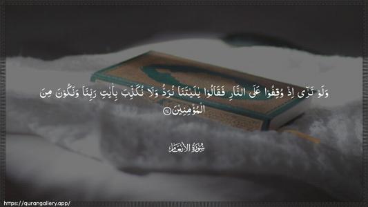Al-An"aam Ayah 27 - Arabic (Wide) wallpaper