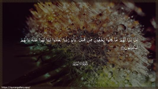 Al-An"aam Ayah 28 - Arabic (Wide) wallpaper