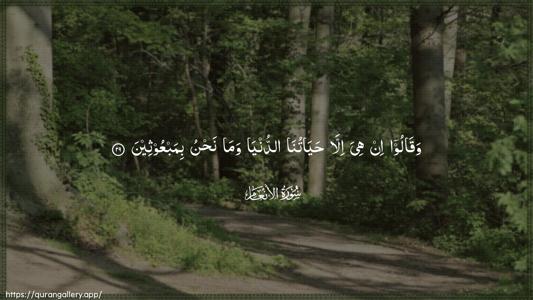 Al-An"aam Ayah 29 - Arabic (Wide) wallpaper