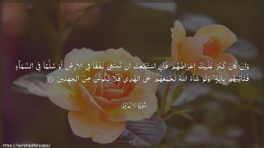 Al-An"aam Ayah 35 - Arabic (Wide) wallpaper