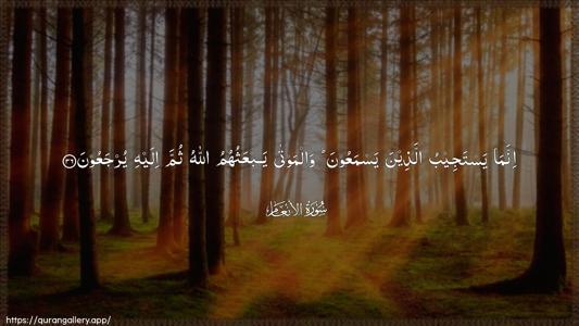 Al-An"aam Ayah 36 - Arabic (Wide) wallpaper