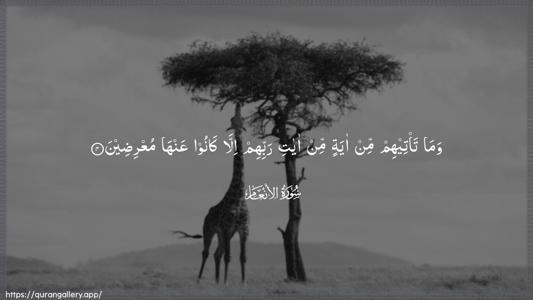 Al-An"aam Ayah 4 - Arabic (Wide) wallpaper