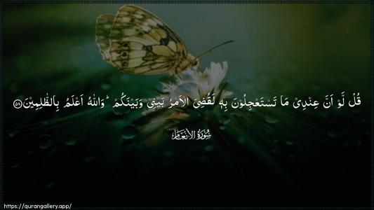 Al-An"aam Ayah 58 - Arabic (Wide) wallpaper