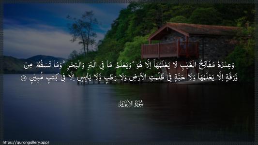 Al-An"aam Ayah 59 - Arabic (Wide) wallpaper