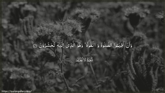 Al-An"aam Ayah 72 - Arabic (Wide) wallpaper