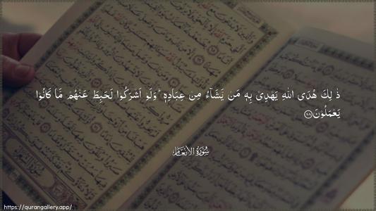 Al-An"aam Ayah 88 - Arabic (Wide) wallpaper