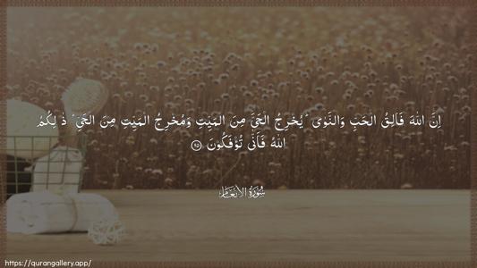 Al-An"aam Ayah 95 - Arabic (Wide) wallpaper