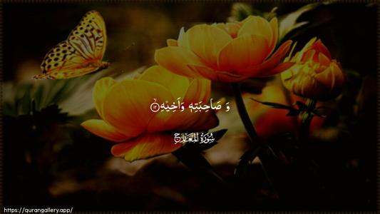 Al-Ma"aarij Ayah 12 - Arabic (Wide) wallpaper