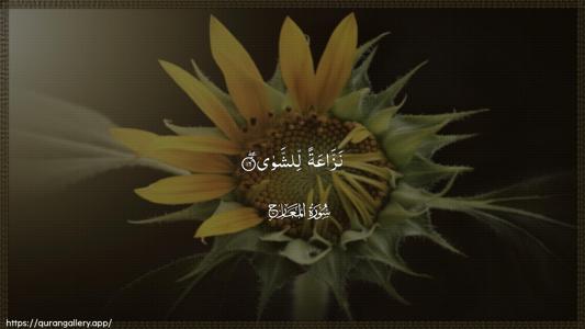 Al-Ma"aarij Ayah 16 - Arabic (Wide) wallpaper