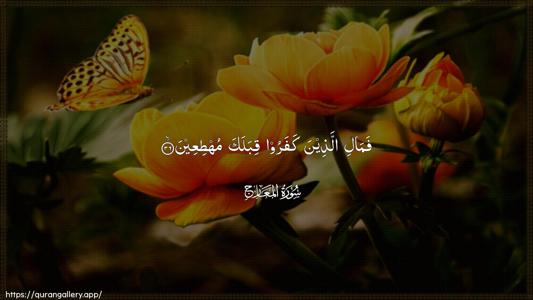 Al-Ma"aarij Ayah 36 - Arabic (Wide) wallpaper