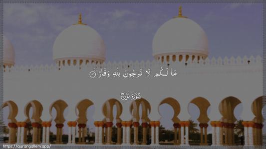 Nooh Ayah 13 - Arabic (Wide) wallpaper
