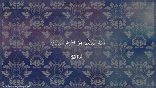 Nooh Ayah 17 - Arabic (Wide) wallpaper