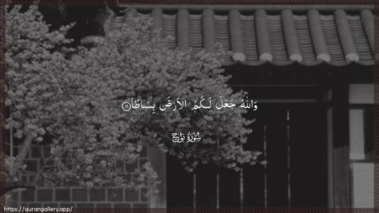 Nooh Ayah 19 - Arabic (Wide) wallpaper