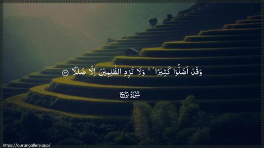 Nooh Ayah 24 - Arabic (Wide) wallpaper